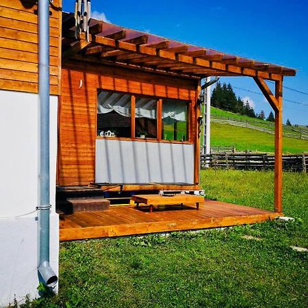 Nexus Kulcsoshaz Bukkloka Gyimes Guest House Fagetel Екстериор снимка